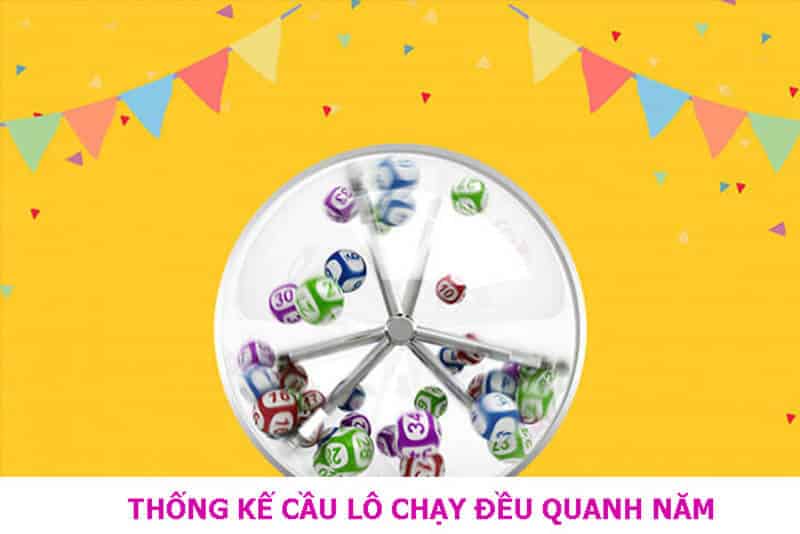 cau lo chay deu nhat quanh nam